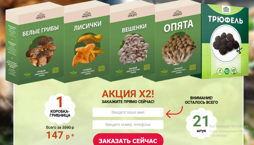 Ежовик гребенчатый: гриб, который заставит ваш мозг работать на 200%. Тайны, польза и шокирующие факты о природном ноотропе!